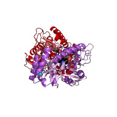 Example Structure of D-threonine aldolase EC#: 4.1.2.42