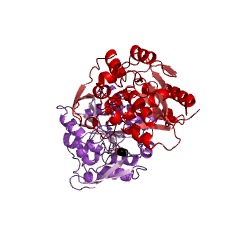 Example Structure of (S)-hydroxynitrile lyase EC#: 4.1.2.47