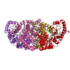 Example Structure of L-threonine aldolase EC#: 4.1.2.5