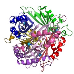 Example Structure of 6-carboxytetrahydropterin synthase EC#: 4.1.2.50