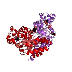 Example Structure of 4-hydroxy-2-oxoheptanedioate aldolase EC#: 4.1.2.52