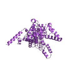 Example Structure of isocitrate lyase EC#: 4.1.3.1