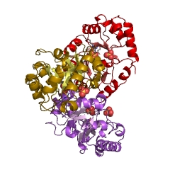Example Structure of 4-Hydroxy-2-oxoglutarate aldolase EC#: 4.1.3.16