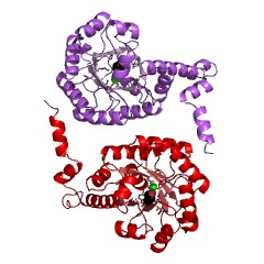 Example Structure of citramalate lyase EC#: 4.1.3.22