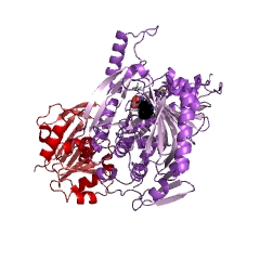 Example Structure of anthranilate synthase EC#: 4.1.3.27