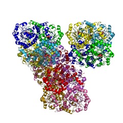 Example Structure of 2,3-Dimethylmalate lyase EC#: 4.1.3.32