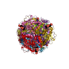 Example Structure of 1,4-dihydroxy-2-naphthoyl-CoA synthase EC#: 4.1.3.36