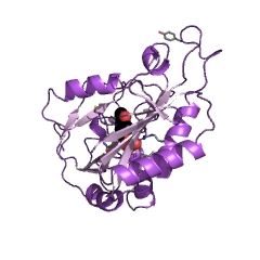 Example Structure of aminodeoxychorismate lyase EC#: 4.1.3.38