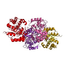 Example Structure of hydroxymethylglutaryl-CoA lyase EC#: 4.1.3.4