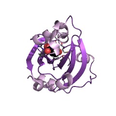 Example Structure of chorismate lyase EC#: 4.1.3.40