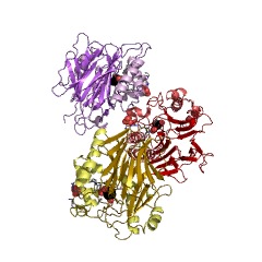 Example Structure of 3-hydroxybenzoate synthase EC#: 4.1.3.45