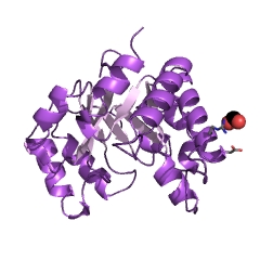 Example Structure of citrate (pro-3S)-lyase EC#: 4.1.3.6