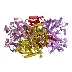 Example Structure of tryptophanase EC#: 4.1.99.1