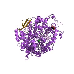 Example Structure of benzylsuccinate synthase EC#: 4.1.99.11