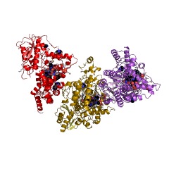 Example Structure of (6-4)DNA photolyase EC#: 4.1.99.13