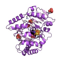 Example Structure of spore photoproduct lyase EC#: 4.1.99.14