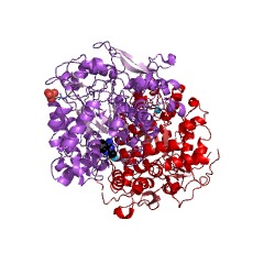 Example Structure of phosphomethylpyrimidine synthase EC#: 4.1.99.17
