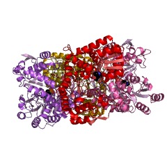 Example Structure of tyrosine phenol-lyase EC#: 4.1.99.2