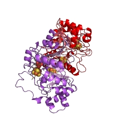 Example Structure of GTP 3',8-cyclase EC#: 4.1.99.22