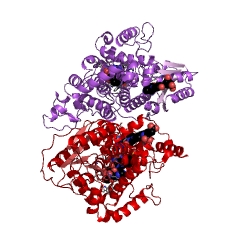 Example Structure of deoxyribodipyrimidine photo-lyase EC#: 4.1.99.3