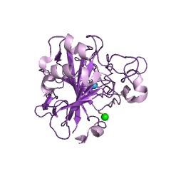 Example Structure of carbonic anhydrase EC#: 4.2.1.1