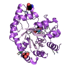 Example Structure of 3-dehydroshikimate dehydratase EC#: 4.2.1.118