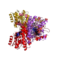 Example Structure of enoyl-CoA hydratase 2 EC#: 4.2.1.119
