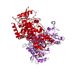 Example Structure of phosphogluconate dehydratase EC#: 4.2.1.12