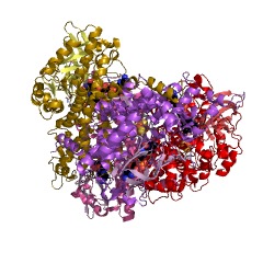 Example Structure of 4-hydroxybutanoyl-CoA dehydratase EC#: 4.2.1.120
