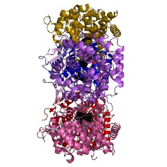 Example Structure of linalool dehydratase EC#: 4.2.1.127