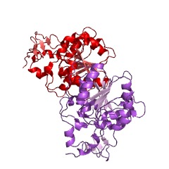 Example Structure of D-lactate dehydratase EC#: 4.2.1.130