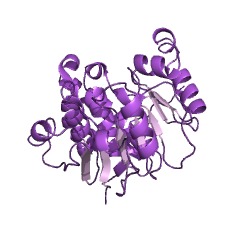 Example Structure of ADP-dependent NAD(P)H-hydrate dehydratase EC#: 4.2.1.136