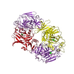 Example Structure of 2-dehydro-3-deoxy-D-arabinonate dehydratase EC#: 4.2.1.141