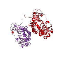 Example Structure of 2-methylfumaryl-CoA hydratase EC#: 4.2.1.148