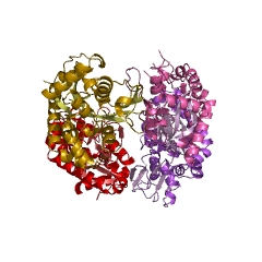 Example Structure of chorismate dehydratase EC#: 4.2.1.151