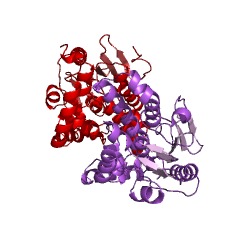 Example Structure of (methylthio)acryloyl-CoA hydratase EC#: 4.2.1.155
