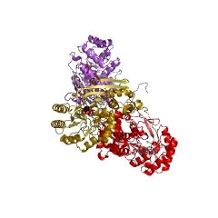 Example Structure of L-talarate dehydratase EC#: 4.2.1.156