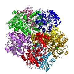 Example Structure of galactarate dehydratase (D-threo-forming) EC#: 4.2.1.158