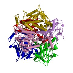 Example Structure of methylglutaconyl-CoA hydratase EC#: 4.2.1.18