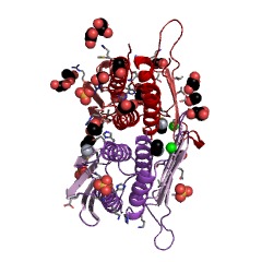Example Structure of imidazoleglycerol-phosphate dehydratase EC#: 4.2.1.19