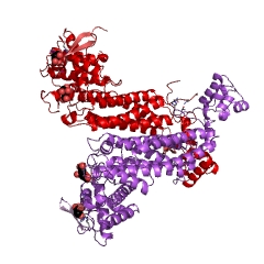 Example Structure of fumarate hydratase EC#: 4.2.1.2