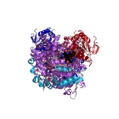 Example Structure of propanediol dehydratase EC#: 4.2.1.28