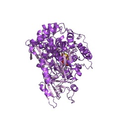 Example Structure of aconitate hydratase EC#: 4.2.1.3