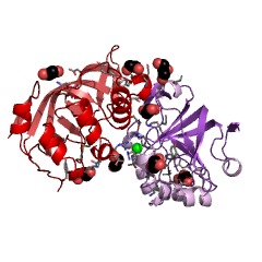 Example Structure of L(+)-tartrate dehydratase EC#: 4.2.1.32