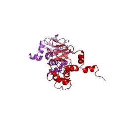 Example Structure of 3-isopropylmalate dehydratase EC#: 4.2.1.33