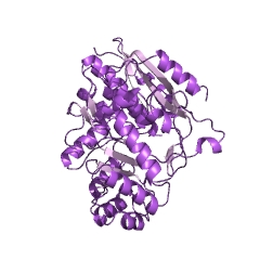 Example Structure of glucarate dehydratase EC#: 4.2.1.40