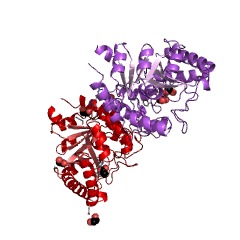 Example Structure of myo-inosose-2 dehydratase EC#: 4.2.1.44