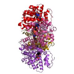 Example Structure of CDP-glucose 4,6-dehydratase EC#: 4.2.1.45