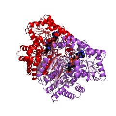 Example Structure of urocanate hydratase EC#: 4.2.1.49