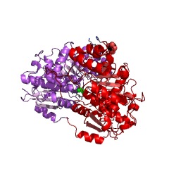 Example Structure of galactonate dehydratase EC#: 4.2.1.6
